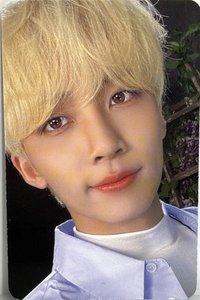 22’D社 D社 周邊卡 