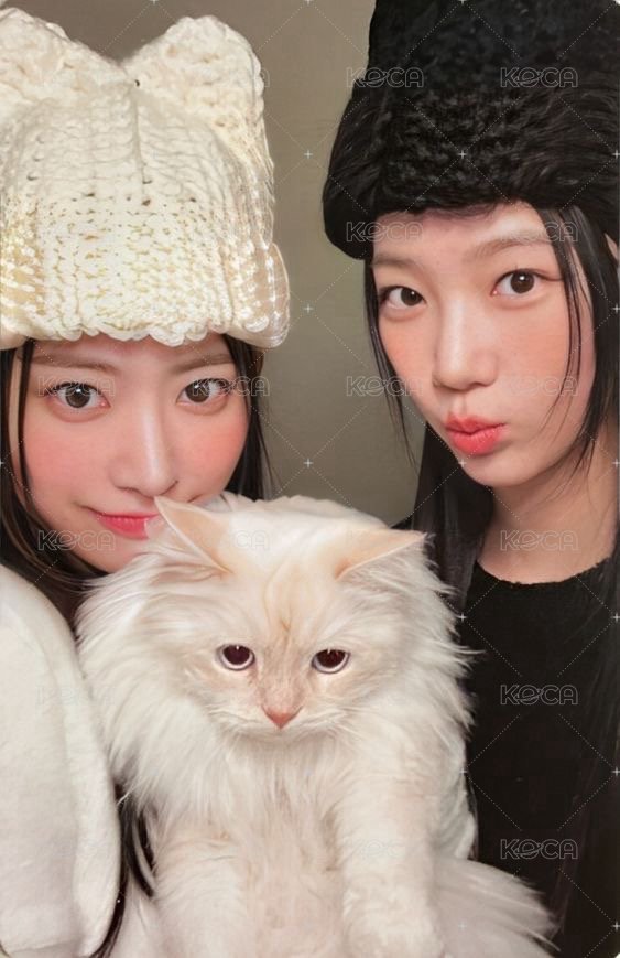 UNFORGIVEN 專輯卡 電子專雙人卡 正面