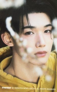 D社 隨機卡 B版 D’PARTMENT