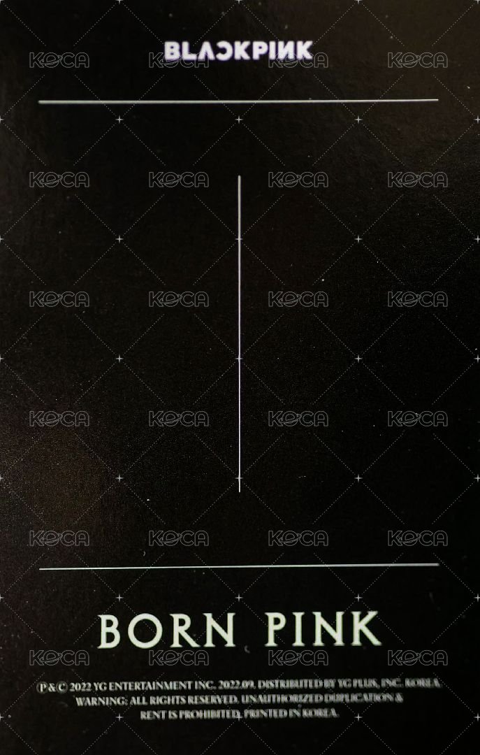 BORN PINK 專輯卡 ROSÉ  捂嘴肉 背面