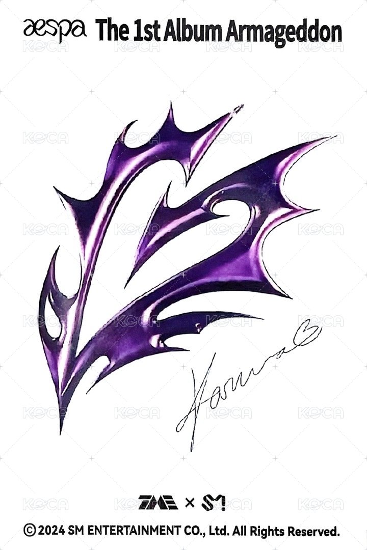 正規一 QQ音樂 星光卡 五星柚 背面