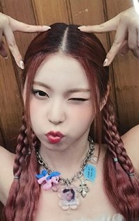 ENTWURF wm 2.0 簽售卡 貓咪