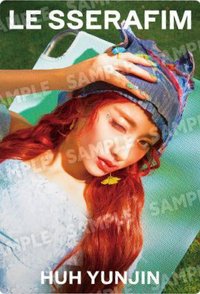 BANDAI 隨機卡 N-03