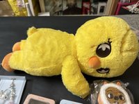 安可啵側背包全新未拆+綁城手機背帶