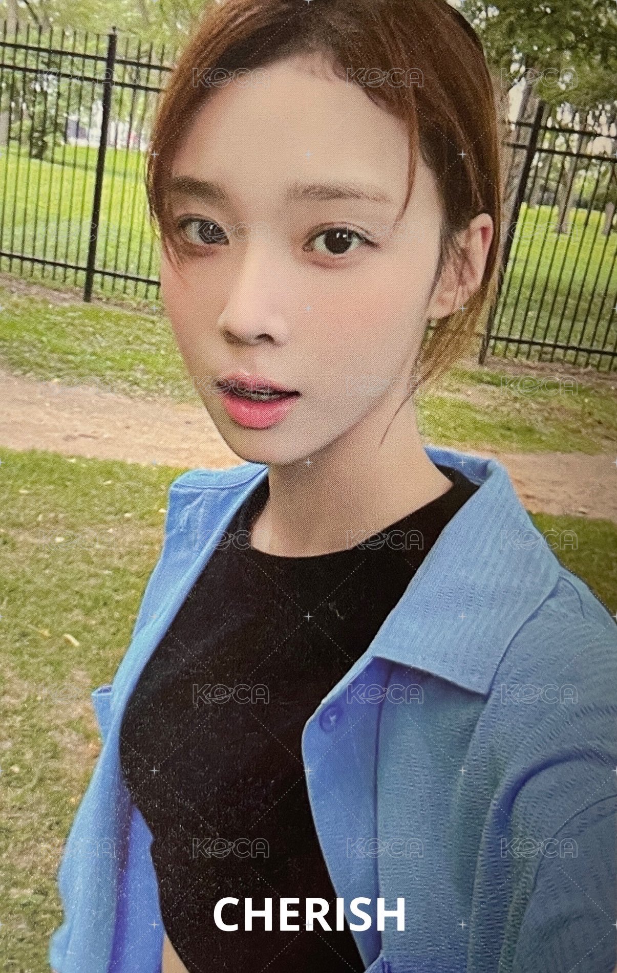 dvd回憶錄 演唱會 DVD / CD 卡 數位版冬 正面