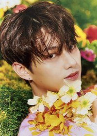 正四後續 明信片 KIT ver.