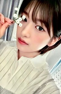 24 年曆 sw 特典卡 