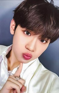 世巡TW 隨機卡 ver.B