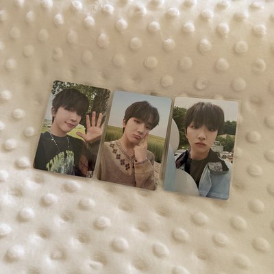 星光卡 雲鶴 一組三張