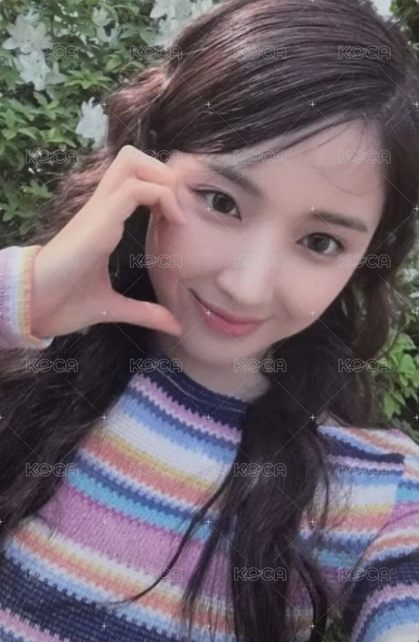 仲夏夜 wm 周邊卡 快閃貼紙卡 正面