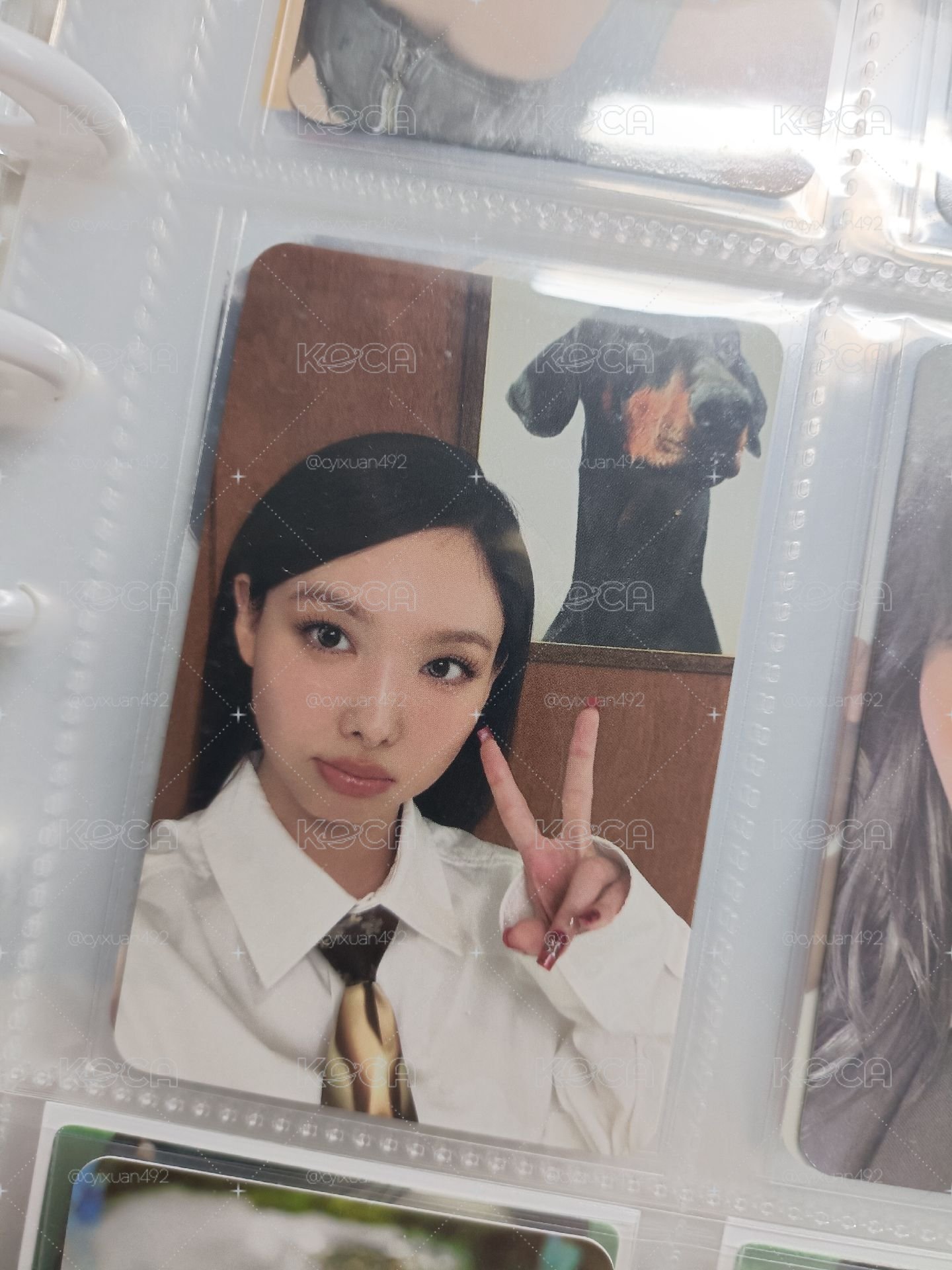 🐰