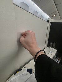 新澤西的治癒之肩：水裡長出的翅膀🪽ྀི