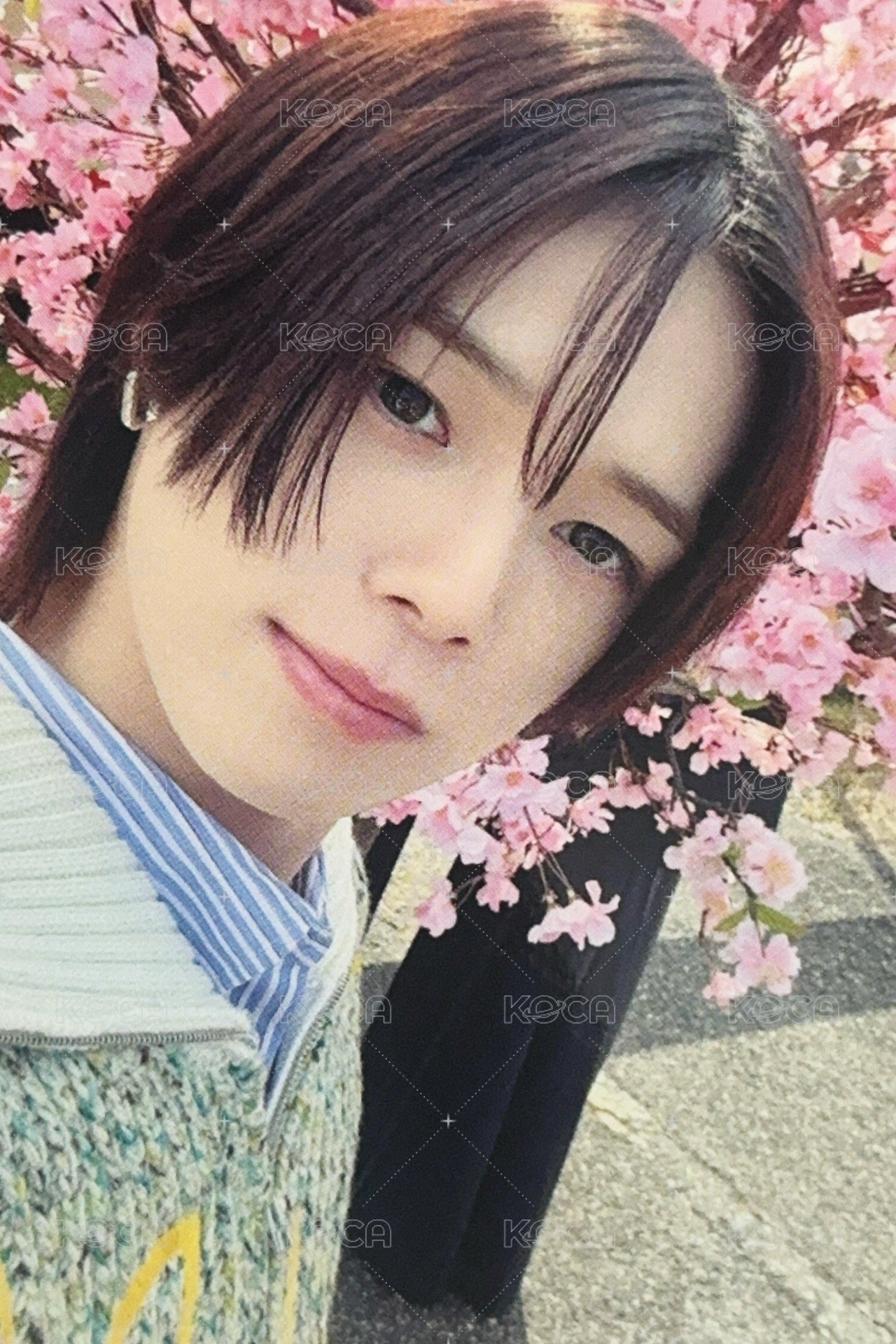 五月雨 (Samidare) 專輯卡 初回限定專卡 正面