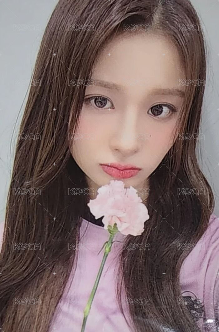 仲夏夜 k4 線下 1.0 簽售卡 拿花 正面