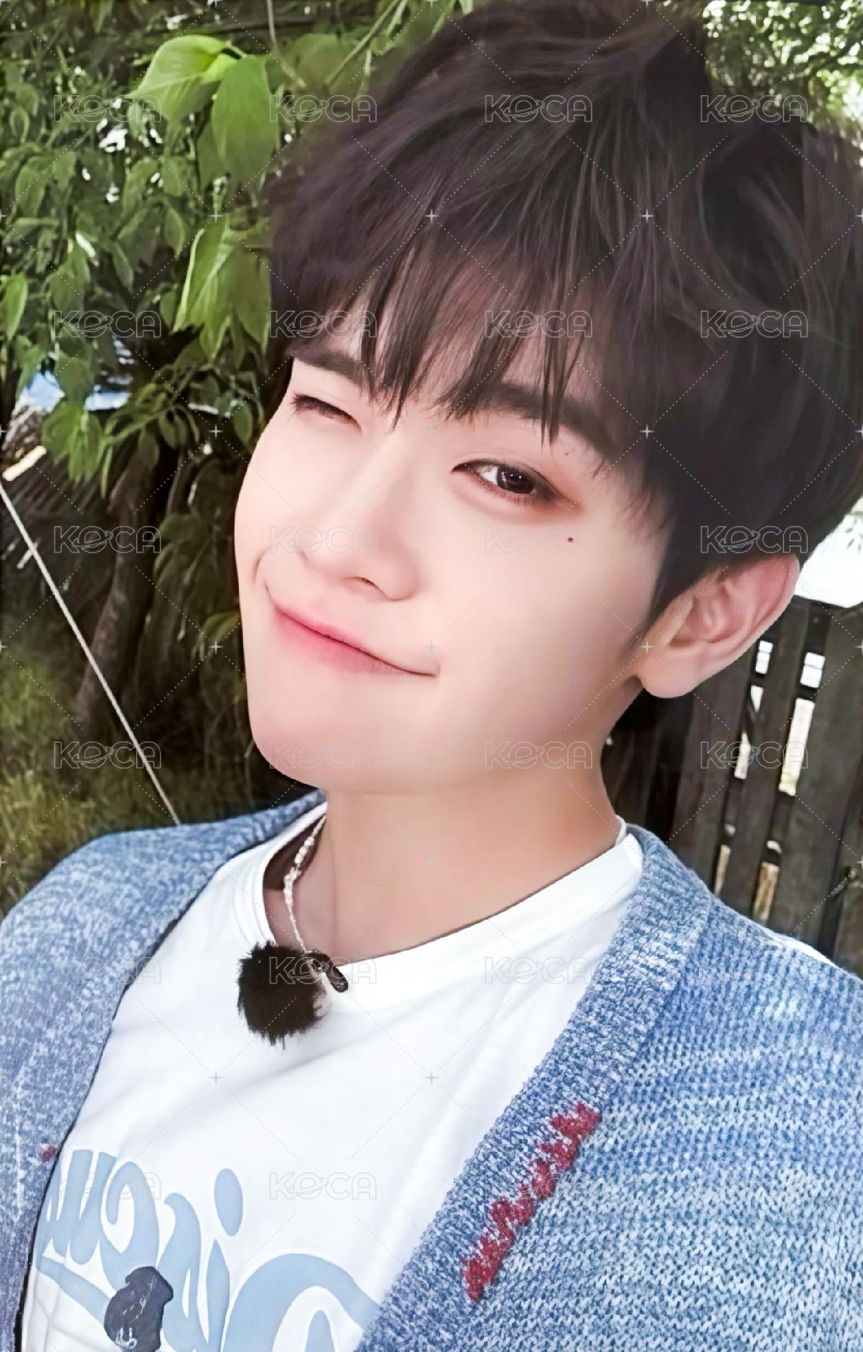 二期會員 會員禮卡  正面