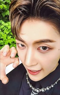 世巡TW 隨機卡 ver.A