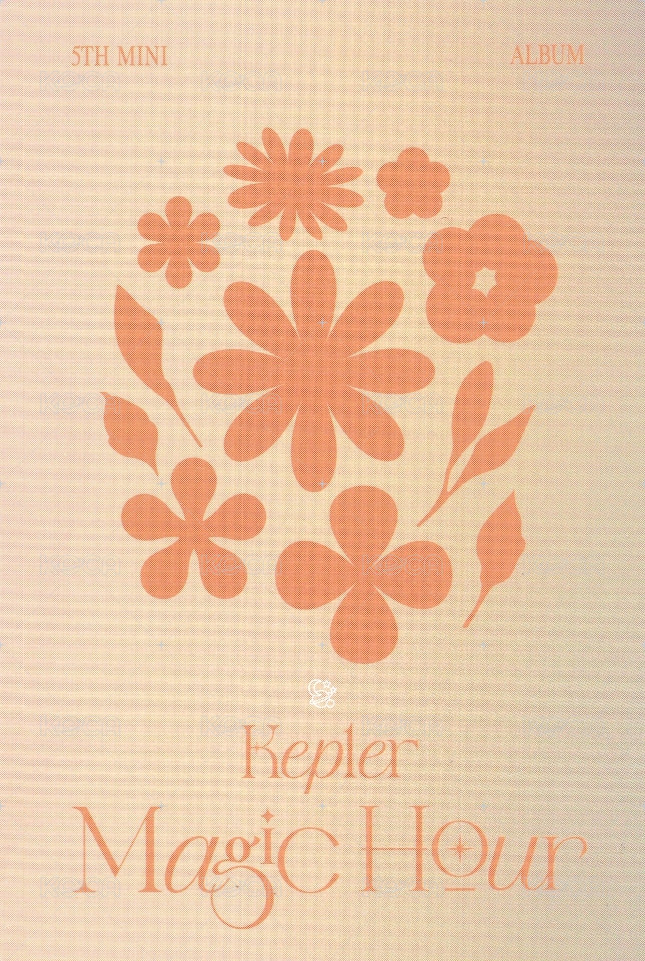 迷五 專輯卡 Sunkissed ver. 背面