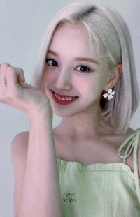 STEREOTYPE wd 2.0 A ver. 幸運卡 