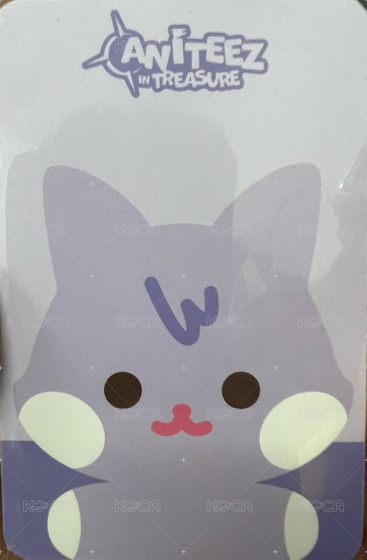 ANITEEZ IN TREASURE 周邊卡 豆豆眼娃卡 背面