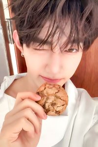 25'SG am 日本 年曆卡 