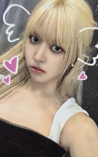 正規一 am 1.0 幸運卡 動物EMOJI