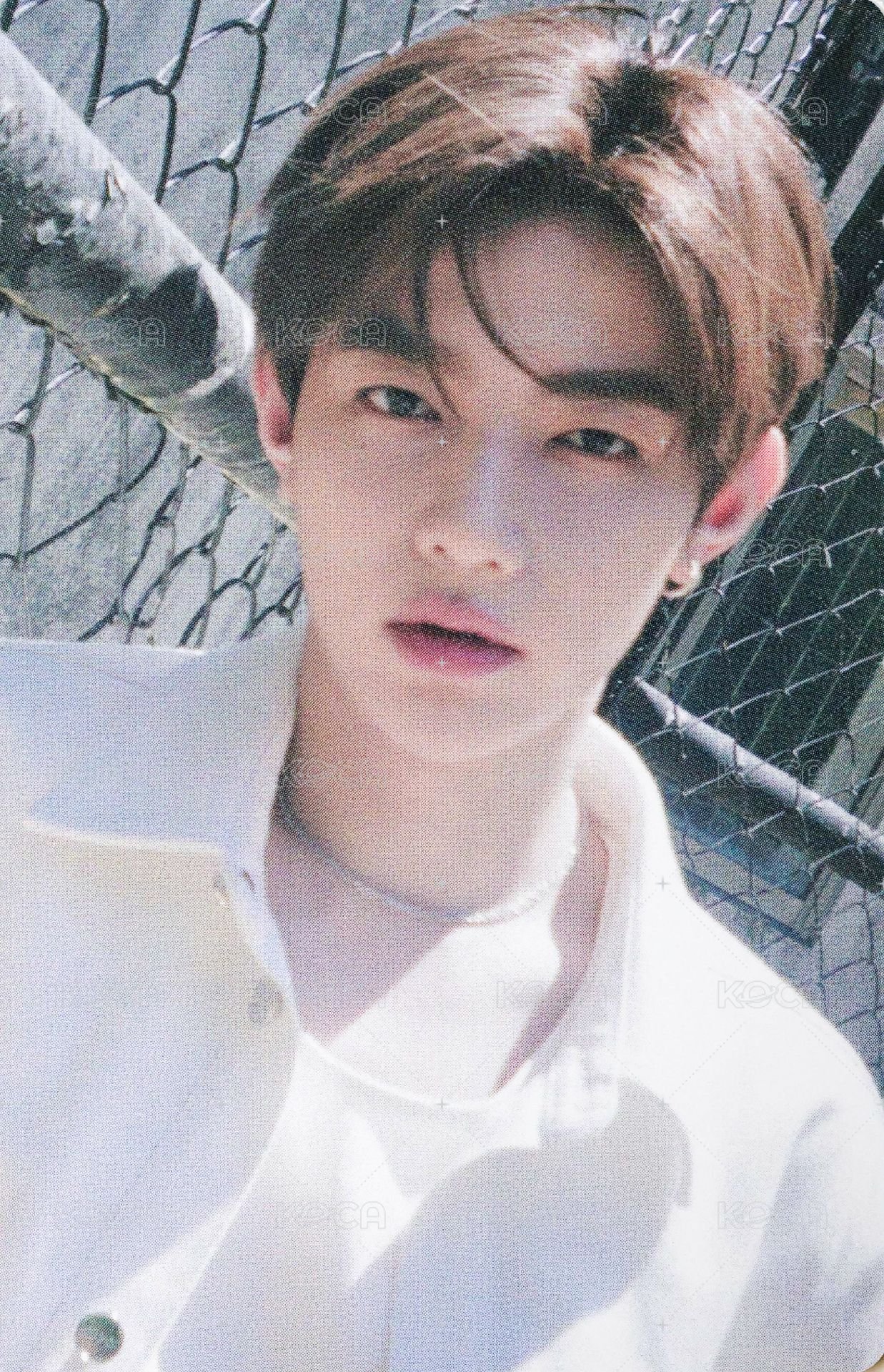 正規一 專輯卡 SCENTS 固卡 正面