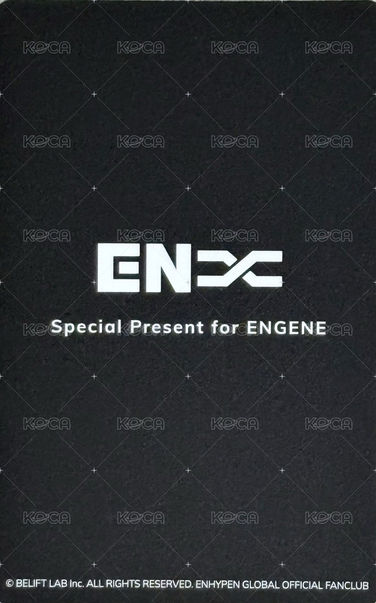 FATE世巡 入場卡 / 場限卡 ENGENE ZONE JAPAN 背面