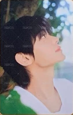 初次見面 隨機卡 卡包卡 正面