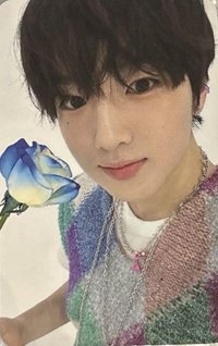 Songbird wm 預售 特典卡 