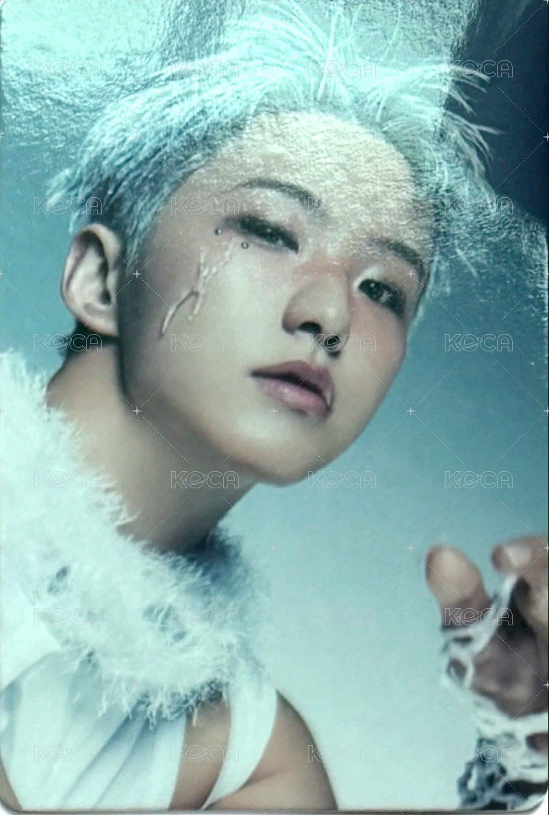 正五 周邊卡 快閃店卡套卡 正面