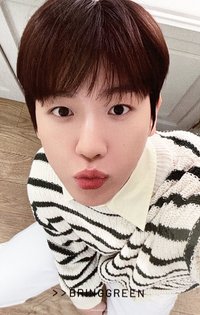 bgreen小卡 代言卡 