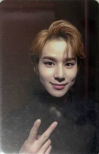 Regular-Irregular 專輯卡 irregular