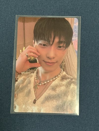 李燦 dino 小卡合輯