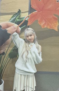 STICK OUT mmt 4.0 簽售卡 楓葉