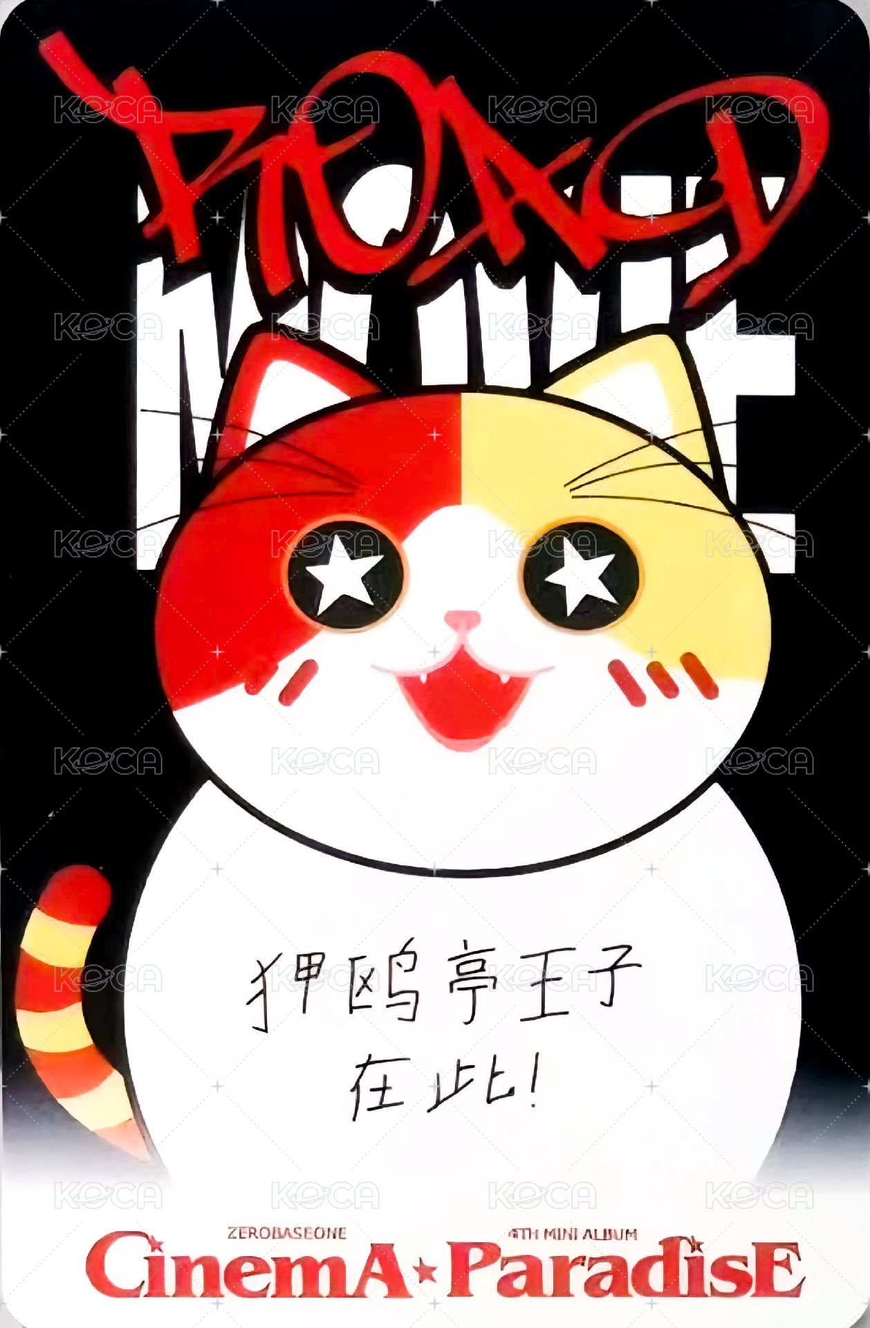 迷四 yzy 簽售卡 胖貓 ver. 背面