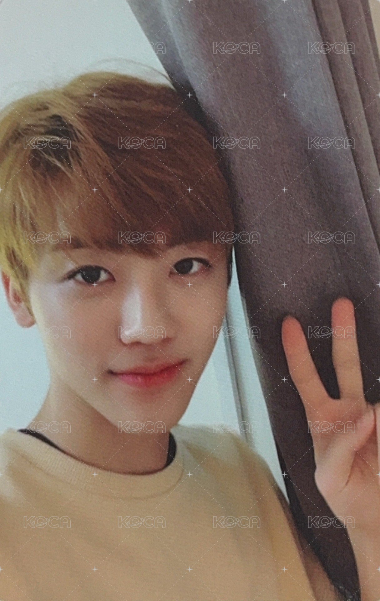 2018大隊 專輯卡 DREAM Ver. 正面