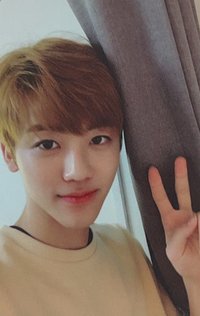 2018大隊 專輯卡 DREAM Ver.