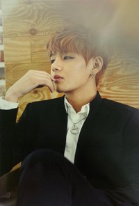 ARMYPEDIA 明信片 SLA