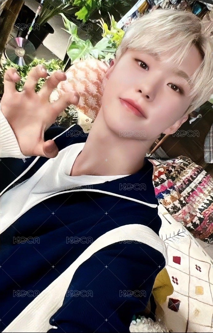 消費期限 專輯卡 ｜CARAT ver. 正面