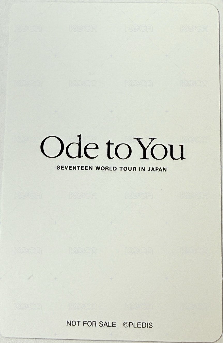 19’OTY 演唱會 DVD / CD 卡 兔刷 背面