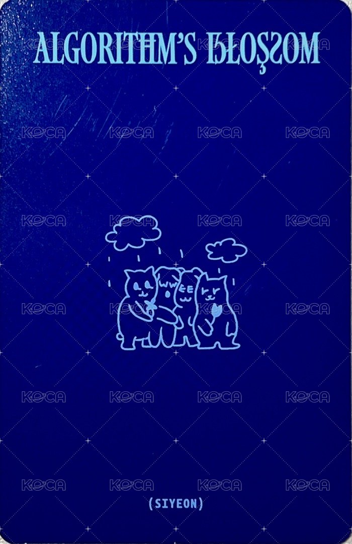 迷二 專輯卡 迷二 C版燕 背面