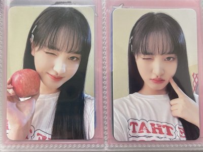 IVE 栗+伶 小盤出/6張 LIZ REI