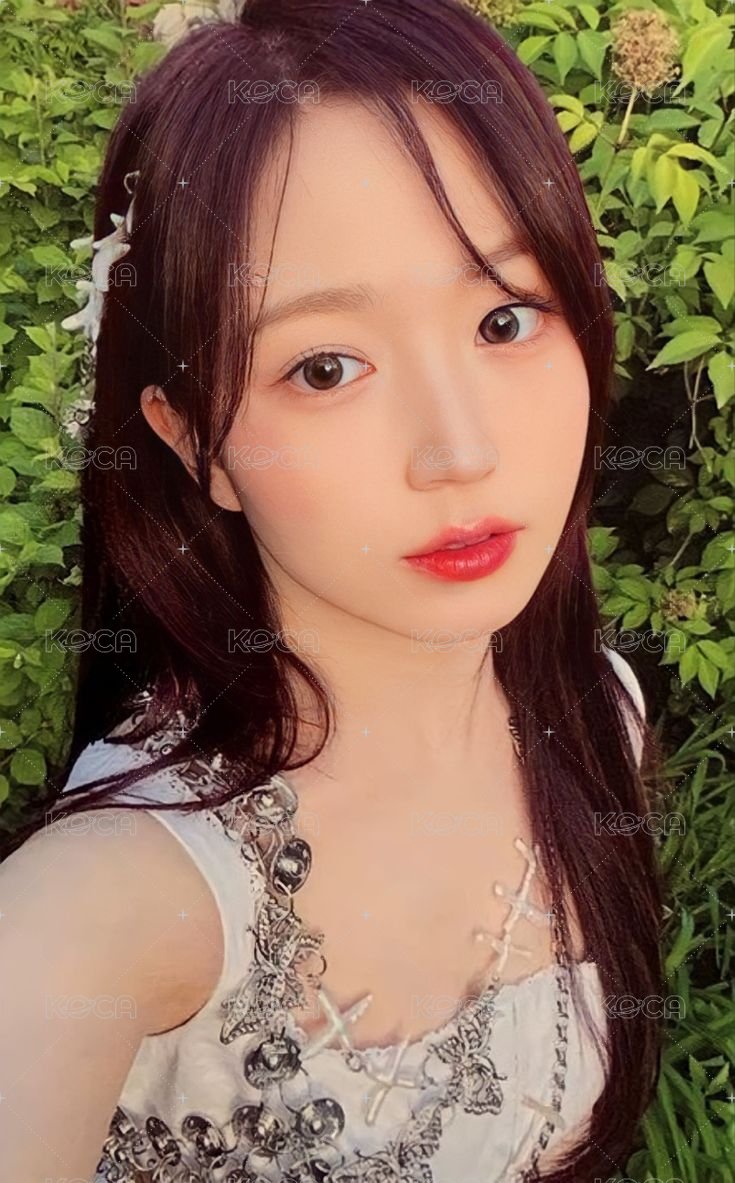 仲夏夜 專輯卡 普版 Forest ver. 正面