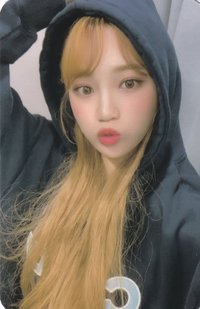 Oneiric Diary 專輯卡 日記：DIARY版