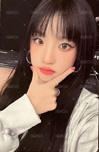 24’演唱會 iDOL 演唱會 DVD / CD 卡  正面