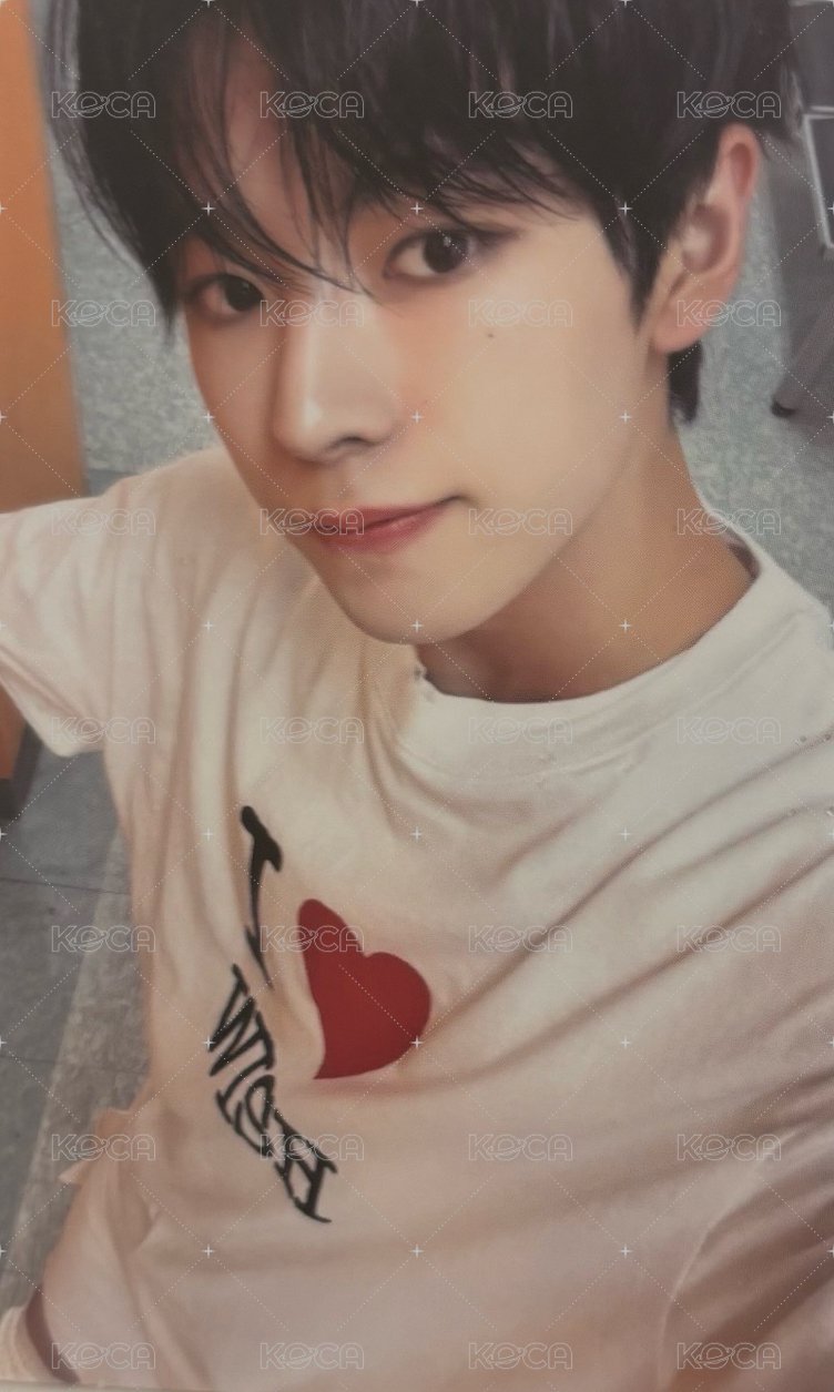 Steady 周邊卡 t恤卡 衣服卡 正面