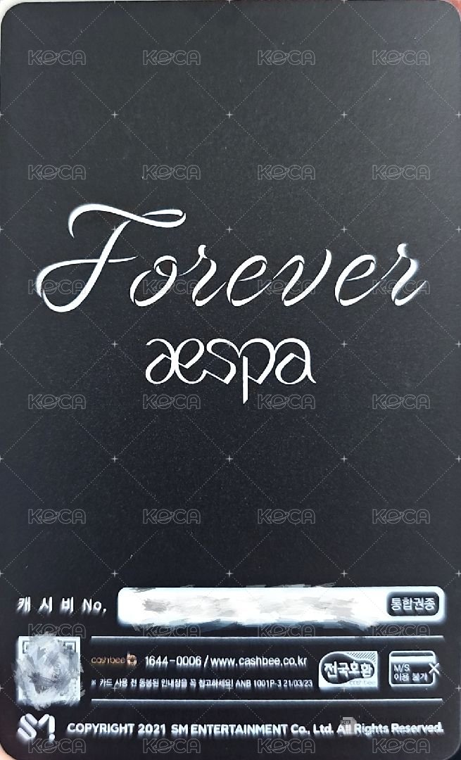 Forever 交通卡 冬 背面