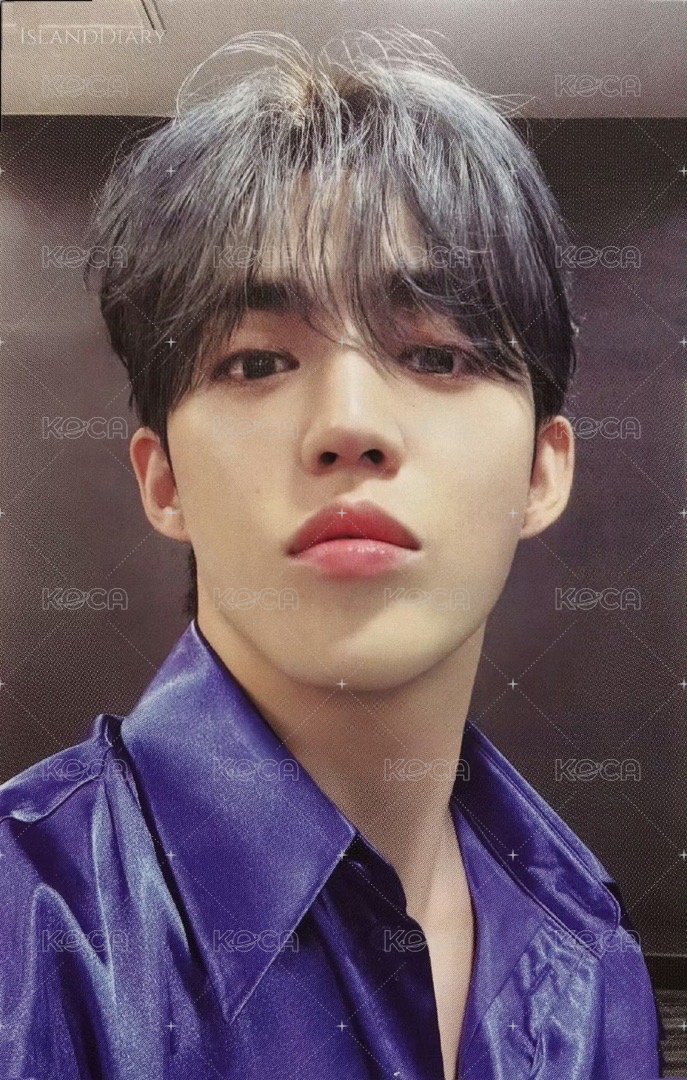 24’克拉島 演唱會 DVD / CD 卡 24‘克拉島回憶錄 KEY ver. 正面