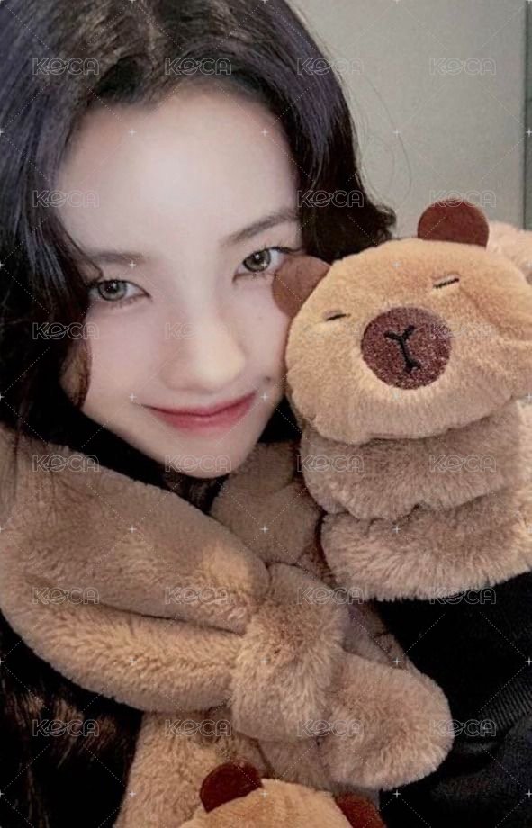 正規二 yzy 8.0 特典卡 卡皮巴拉 正面