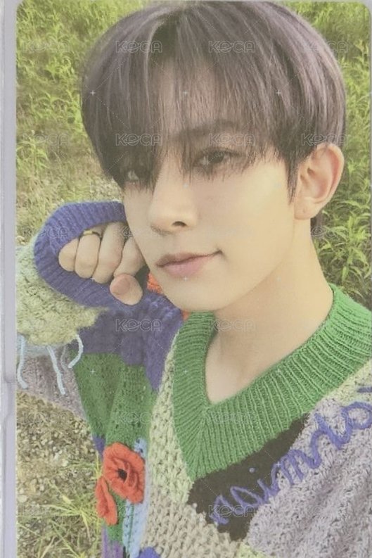 迷五 專輯卡  正面